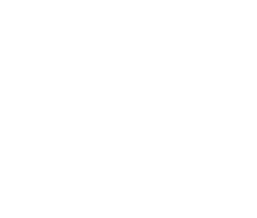 Conscious Weddings
